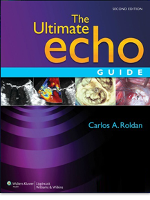 Ultimate Echo Guide