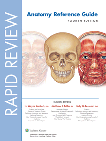 Rapid Review Anatomy Reference Guide