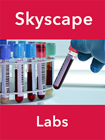 Skyscape Labs