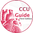 ccuguide2