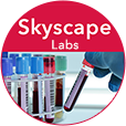 skyscapelabs2