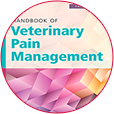 vetpain3